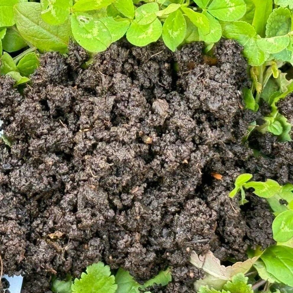 Compost 2.0 from Woodland Grow